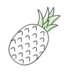 shape