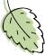 shape